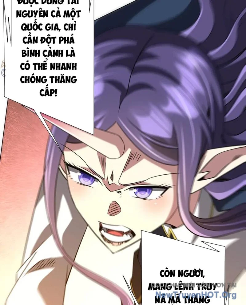 Bắt Đầu Với Trăm Vạn Minh Tệ Chapter 256 - Trang 2