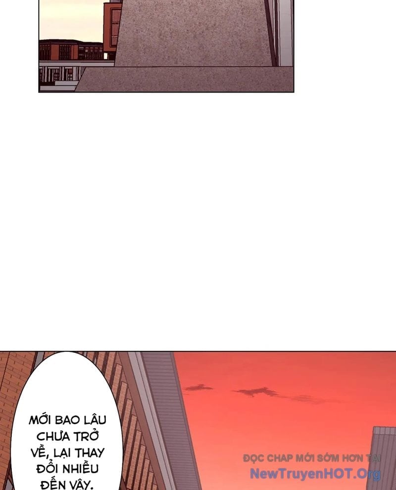 Bắt Đầu Với Trăm Vạn Minh Tệ Chapter 260 - Next 