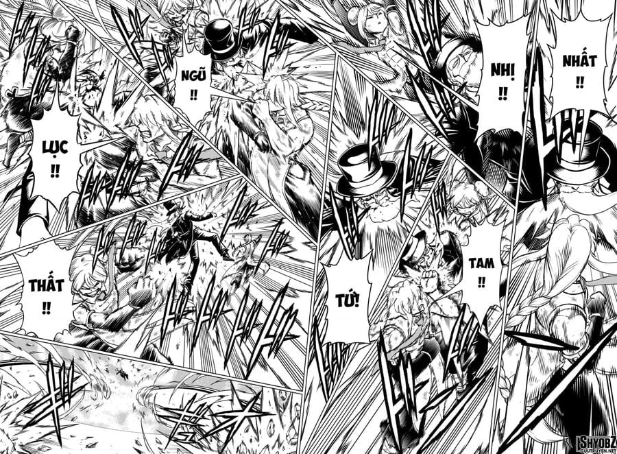 Bất Hạnh Và Bất Tử Chapter 228 8
