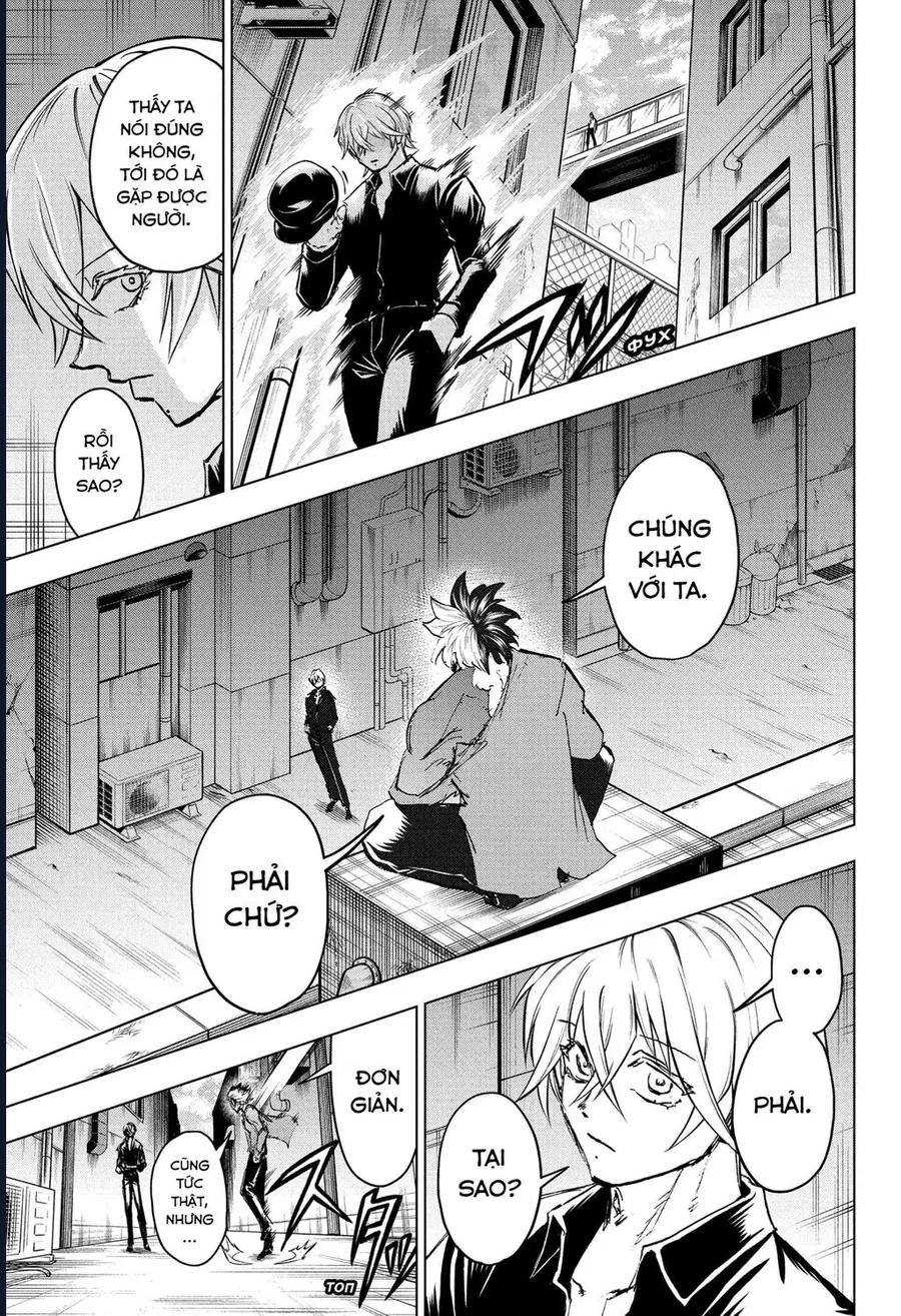 bất hạnh và bất tử Chapter 238 17