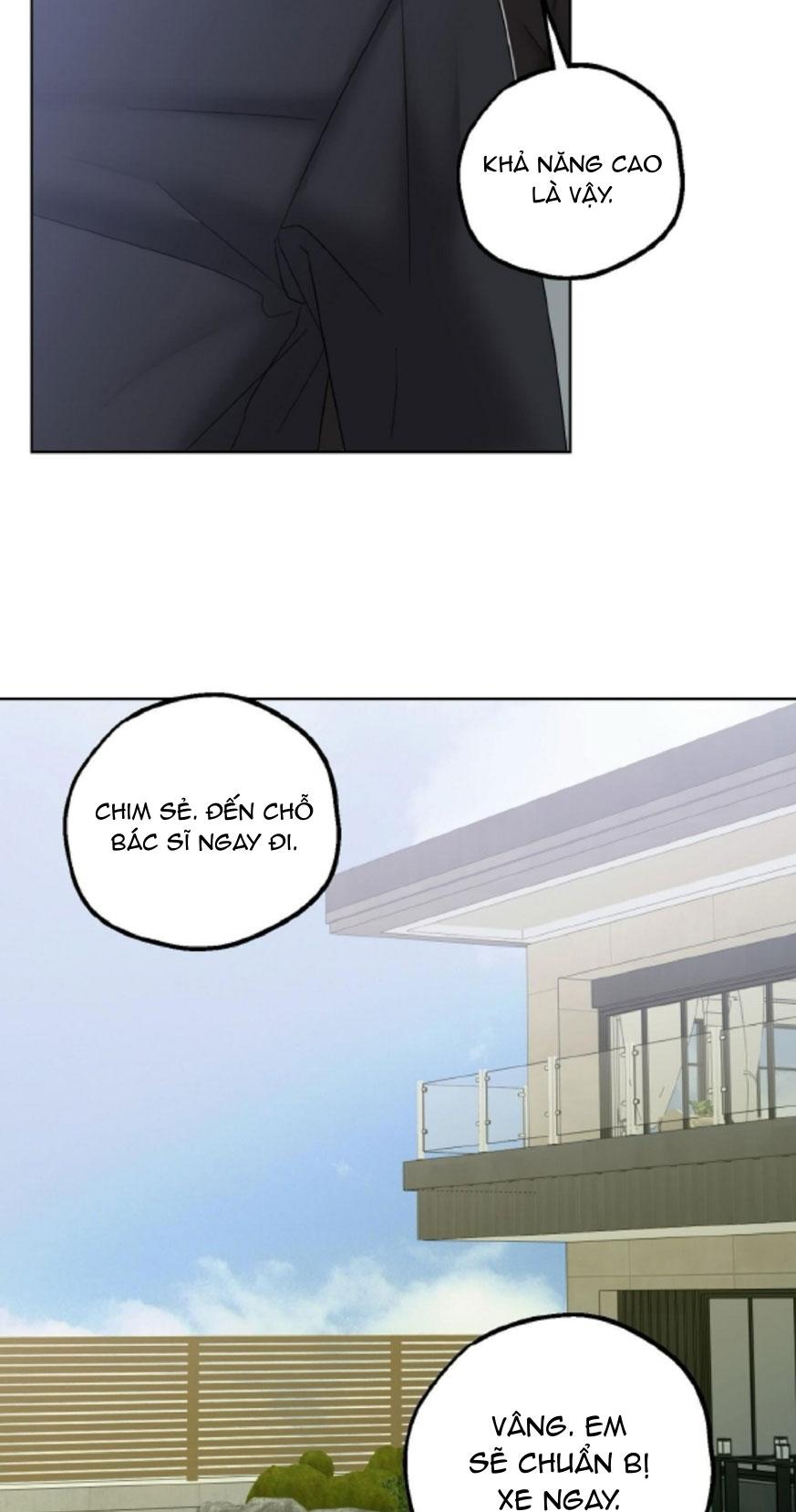 BẮT KỊP Chapter 39 - Trang 3