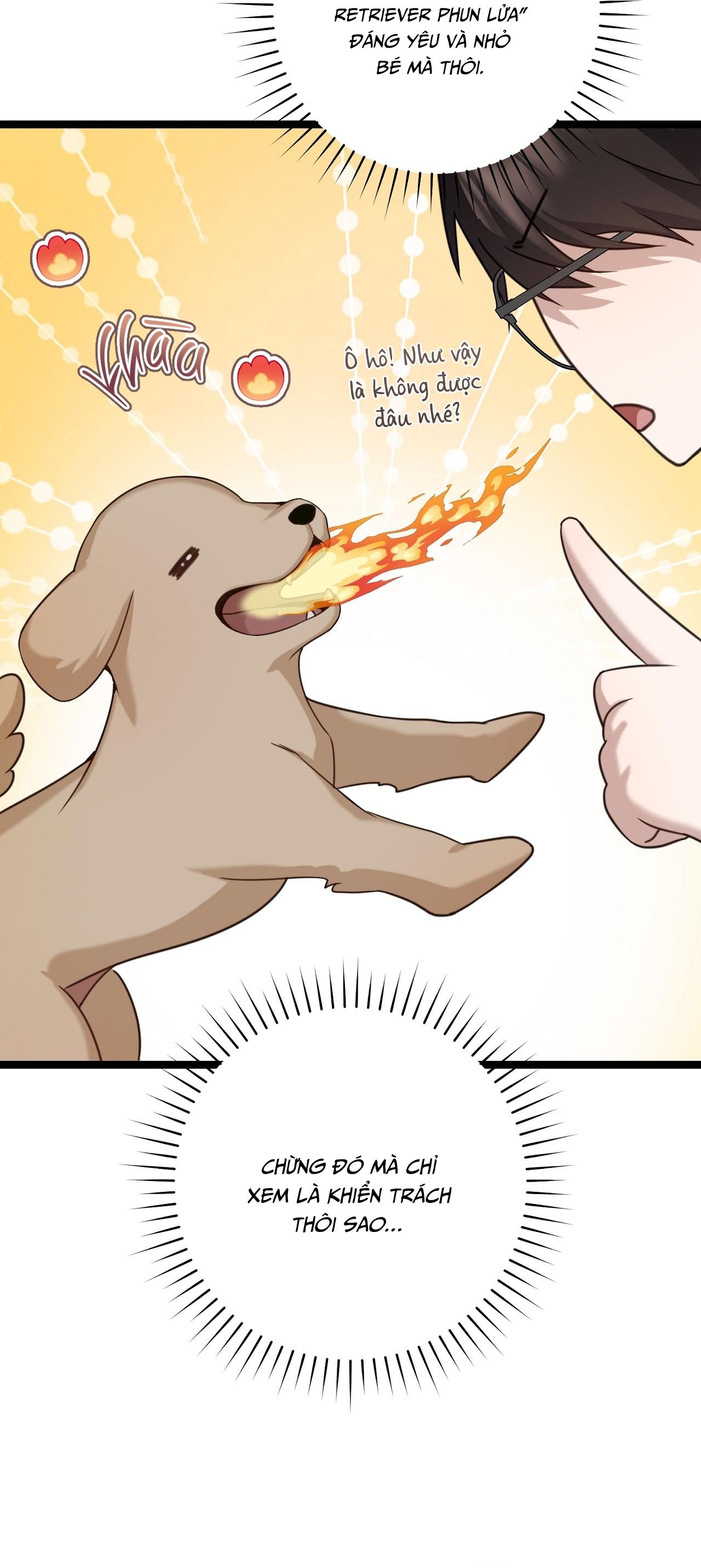 BÁU VẬT CỦA GUIDE Chapter 16 - Trang 3