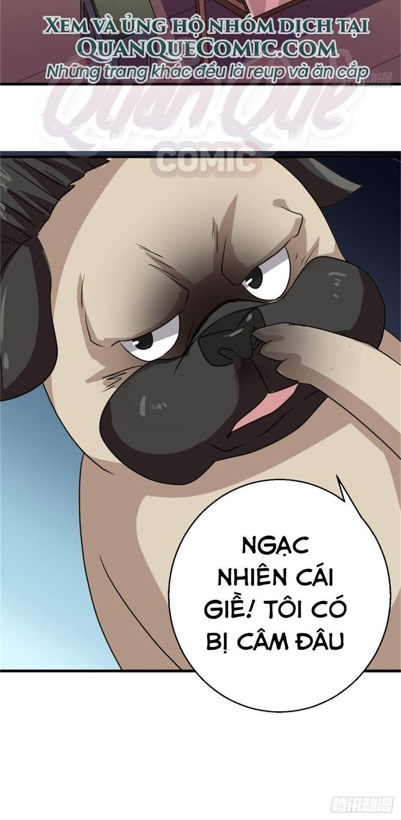 Bị Ép Trở Thành Người Mạnh Nhất Thế Giới Chapter 13 - Trang 2