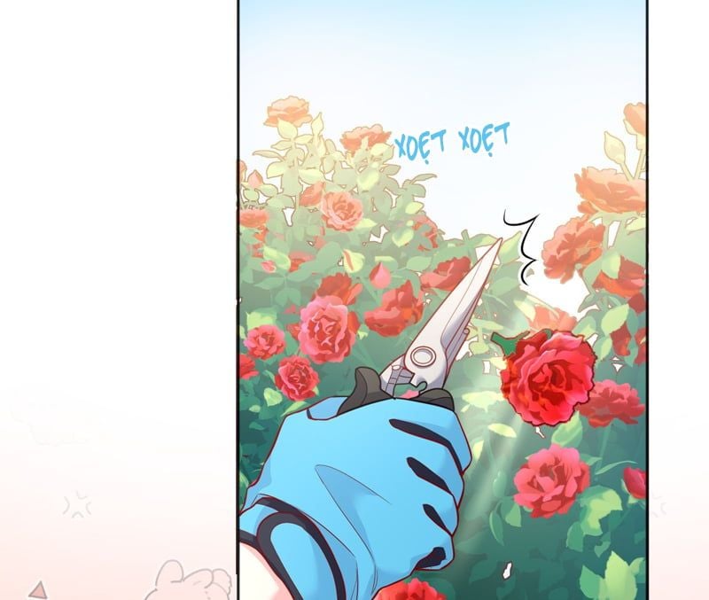 Bí Mật Của Nhân Viên K Chapter 138 - Next Chapter 139