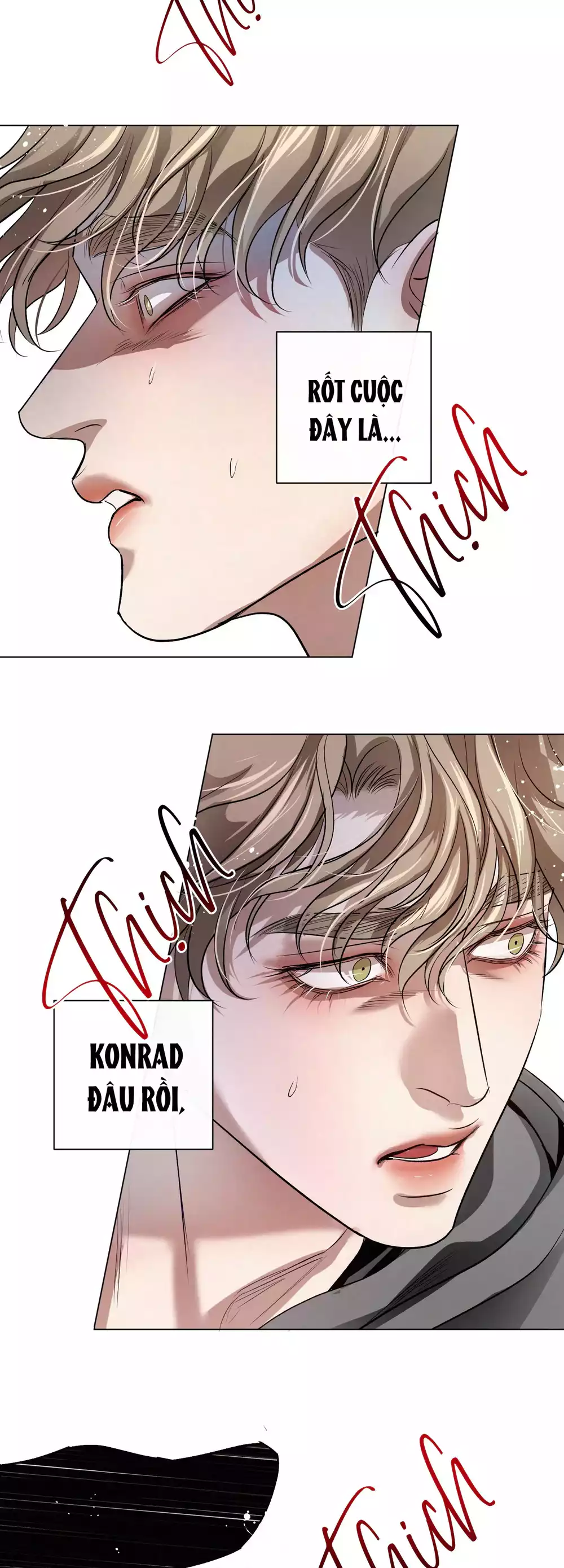 BLOOD GUIDE Chapter 57 - Trang 2