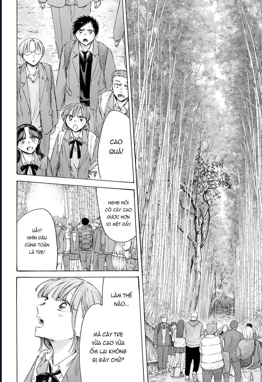 Blue Box Chapter 204 - Trang 3