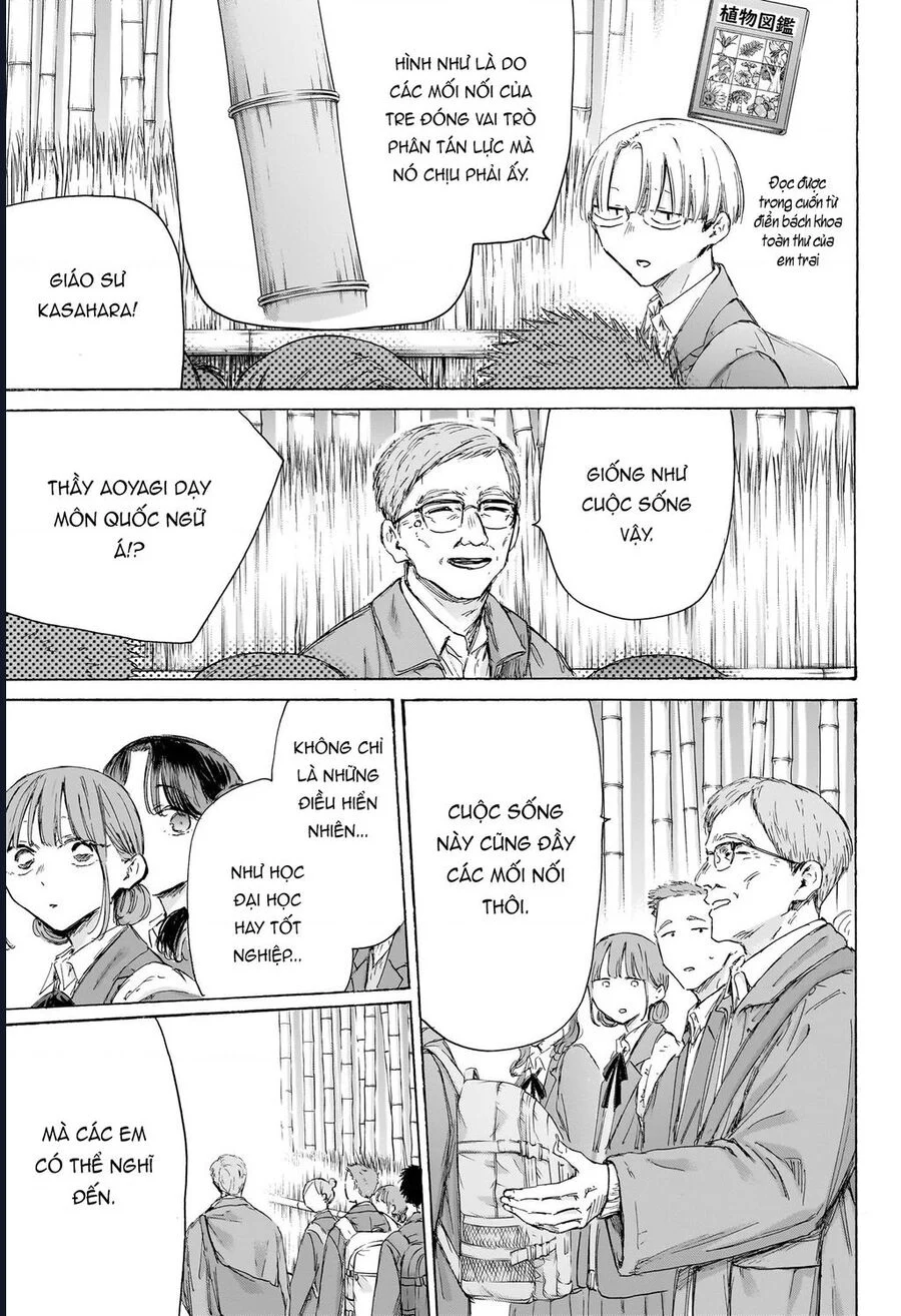 Blue Box Chapter 204 - Trang 3