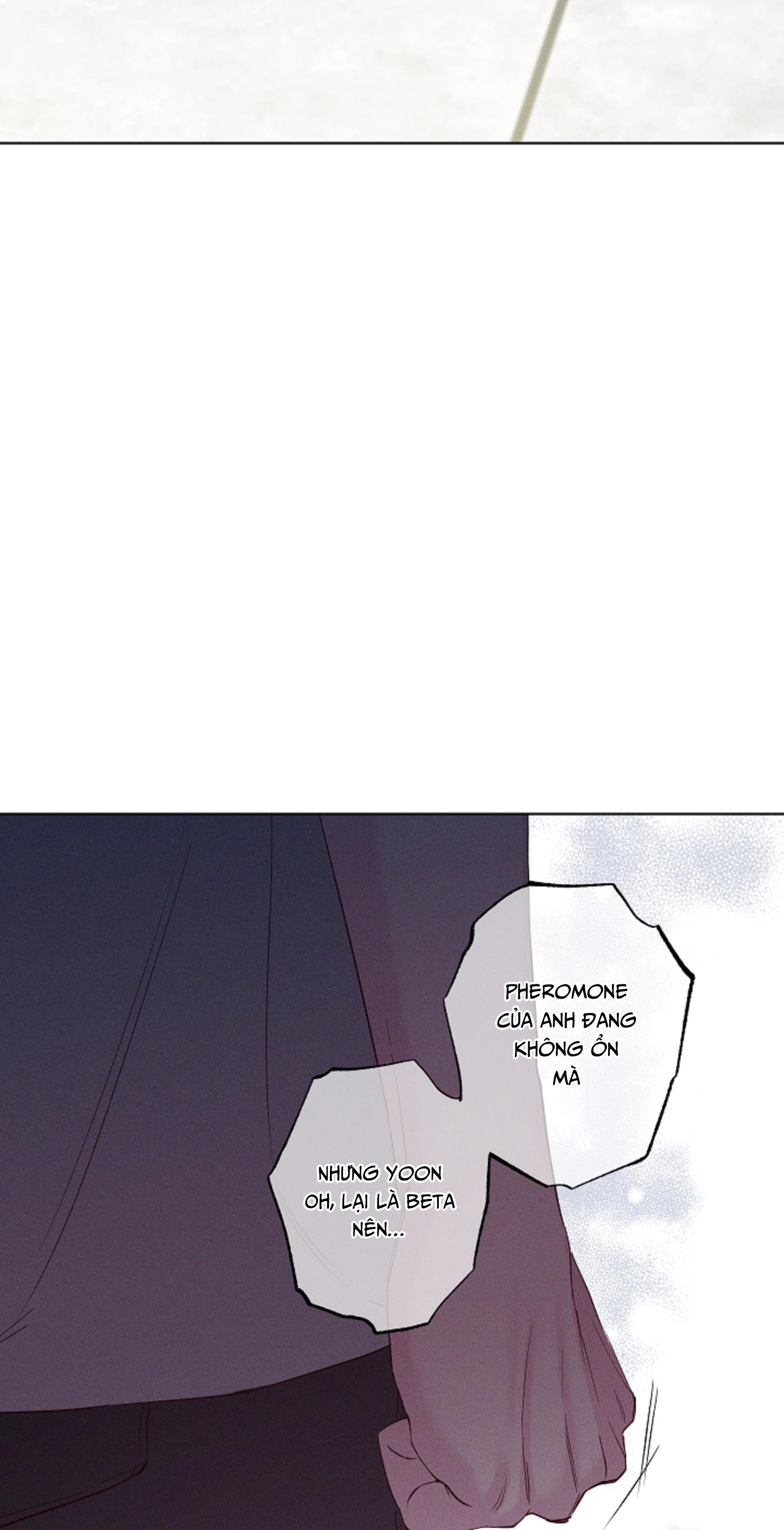 BỜ SÓNG VỖ Chapter 40 - Trang 3