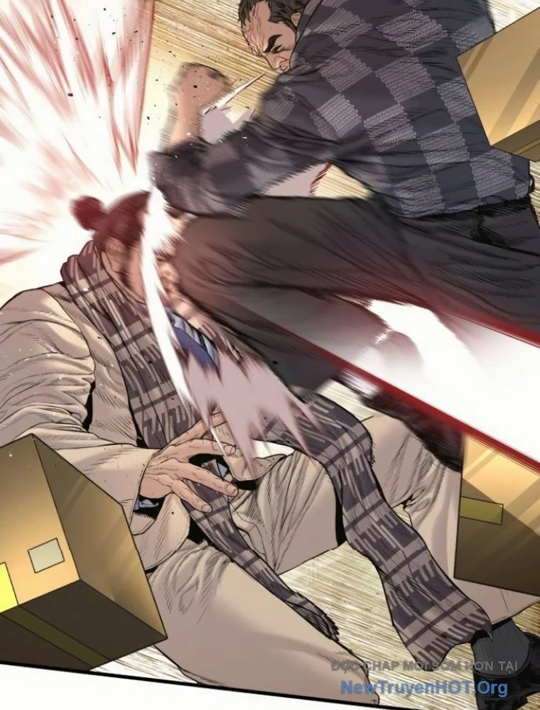 Bố Tôi Là Đặc Vụ Chapter 204 - Trang 2