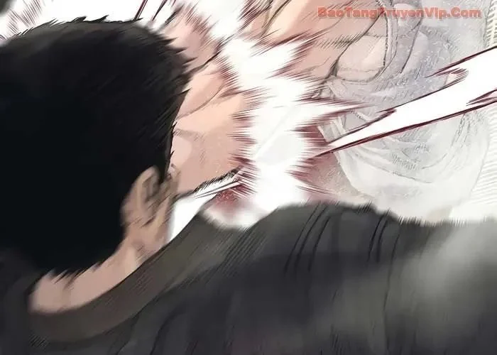 Bố Tôi Là Đặc Vụ Chapter 214 - Trang 2