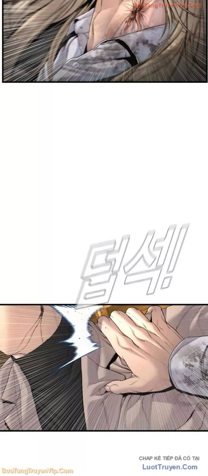 Bố Tôi Là Đặc Vụ Chapter 224 - Trang 2