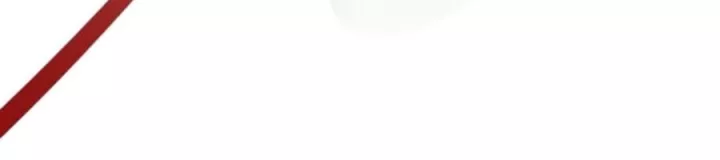 bố tôi là đặc vụ chapter 225 161