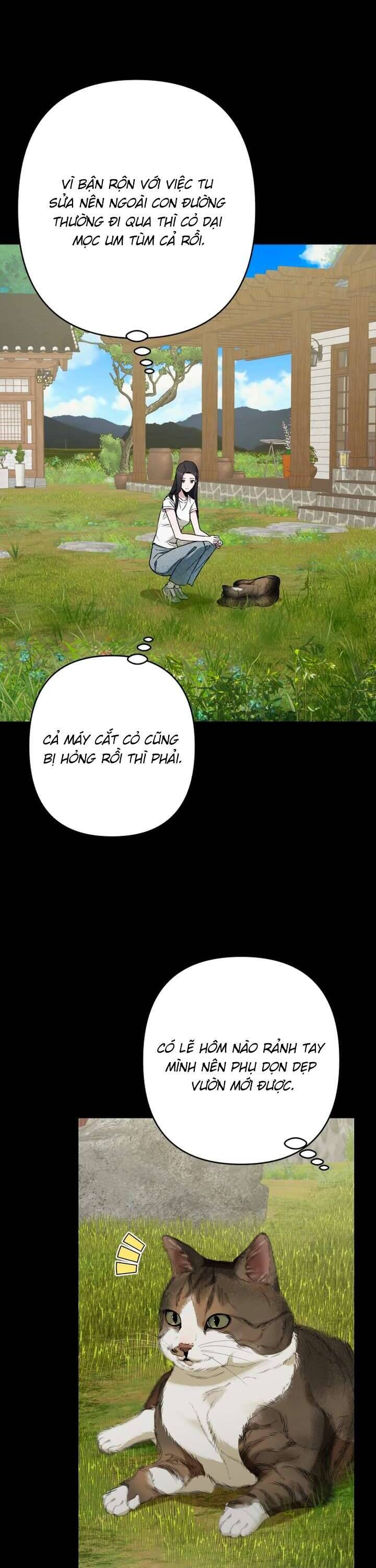 Bóng Râm Mùa Xuân Chap 32 4