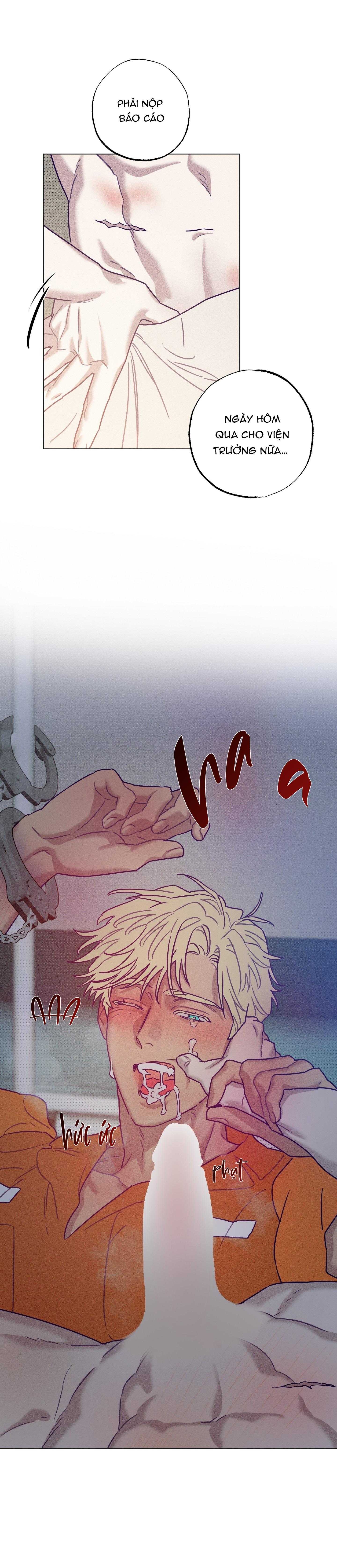 Bữa Sáng Trong Tù Chapter 39 - Trang 4