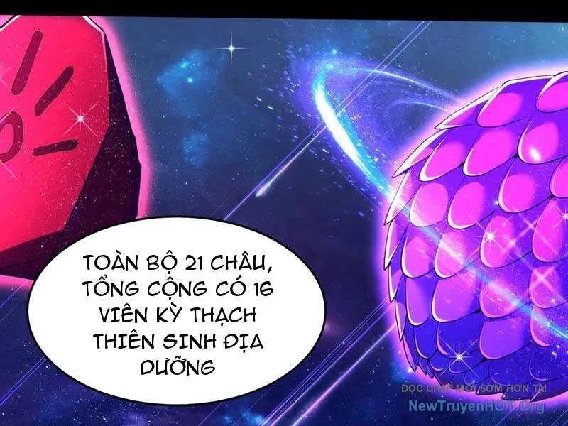 Các Nữ Sư Tôn Đều Muốn Chiếm Hữu Ta Chapter 22 - Trang 2