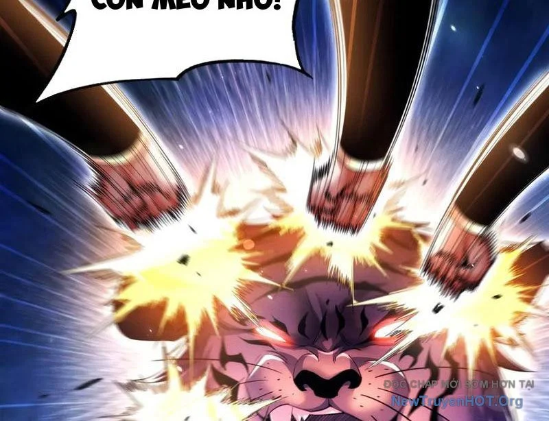 Các Nữ Sư Tôn Đều Muốn Chiếm Hữu Ta Chapter 25 - Next 