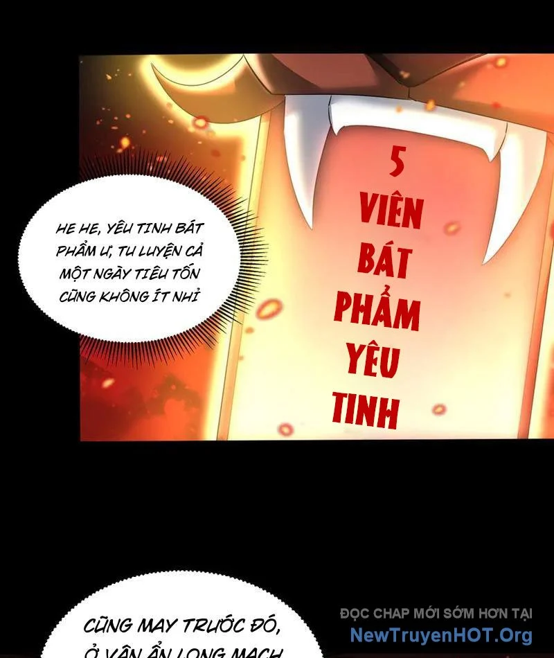Các Nữ Sư Tôn Đều Muốn Chiếm Hữu Ta Chapter 31 - Next 