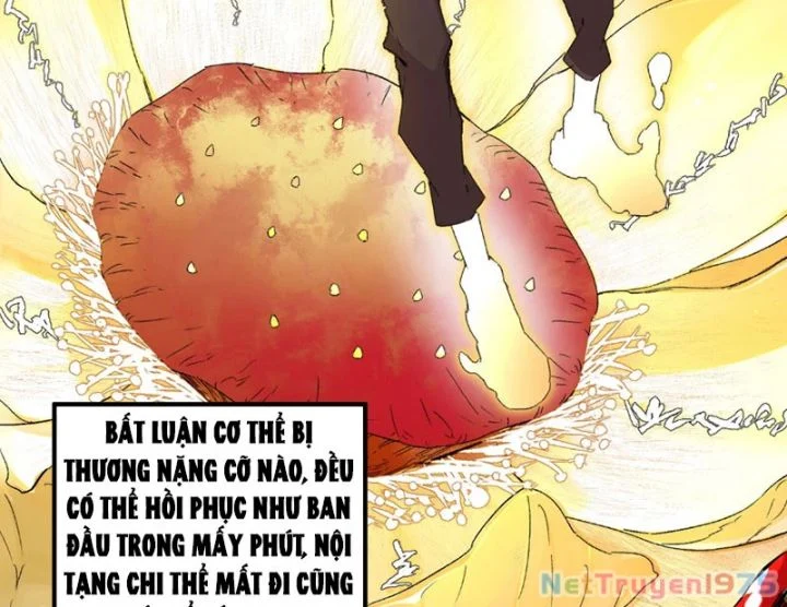 Cấm Chú Sư Mạnh Nhất Lịch Sử Chapter 1 - Next Chapter 2
