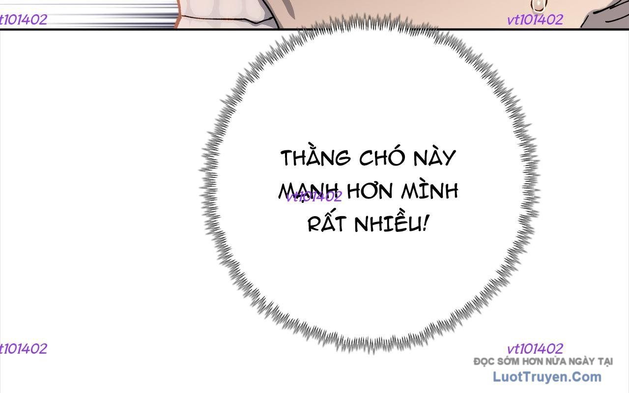 Cầm Dao Mổ Heo Chém Bay Vạn Giới Chapter 12 - Next Chapter 13