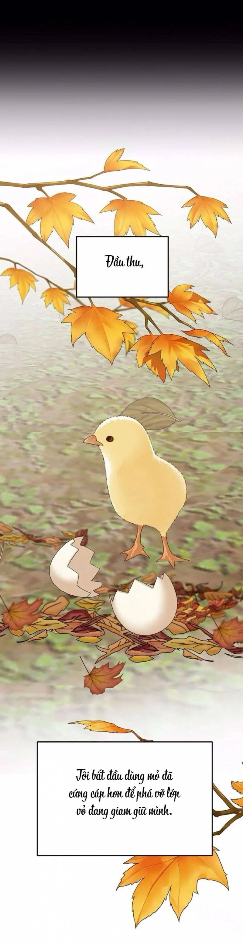 Cẩn Thận Va Phải Tình Yêu Chapter 29 - Trang 2