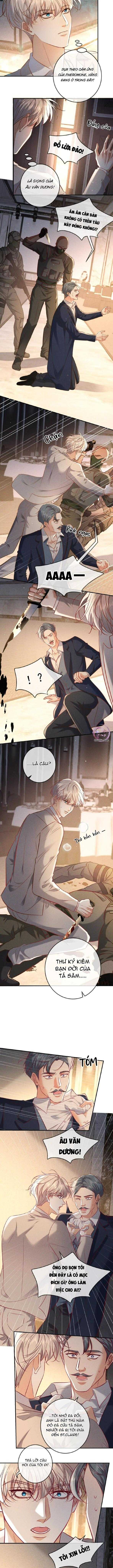 Cạn Tình Chapter 71 4