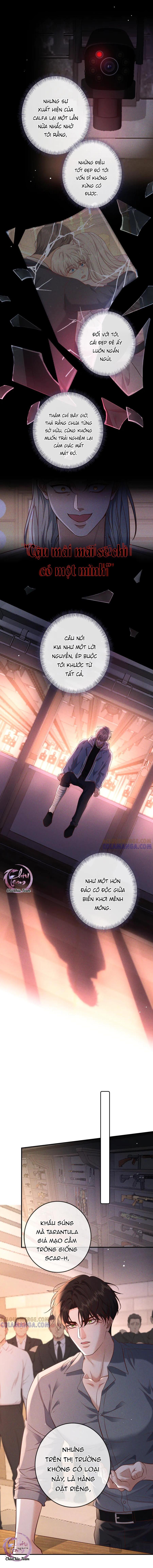 Cạn Tình Chapter 74 - Next 