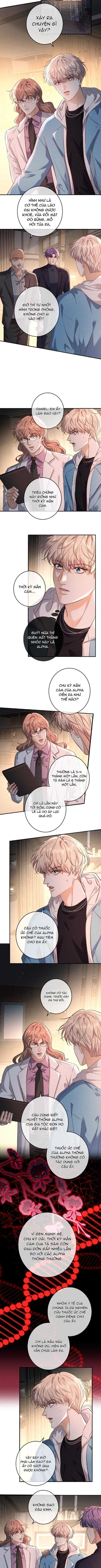 Cạn Tình Chapter 75 - Trang 3