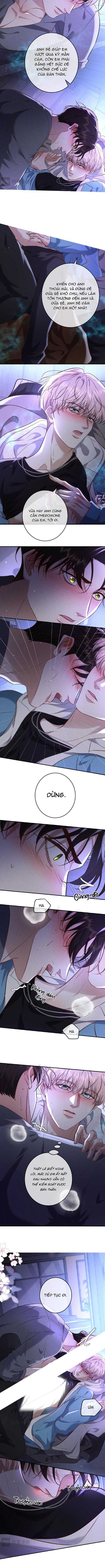 Cạn Tình Chapter 75 - Trang 3