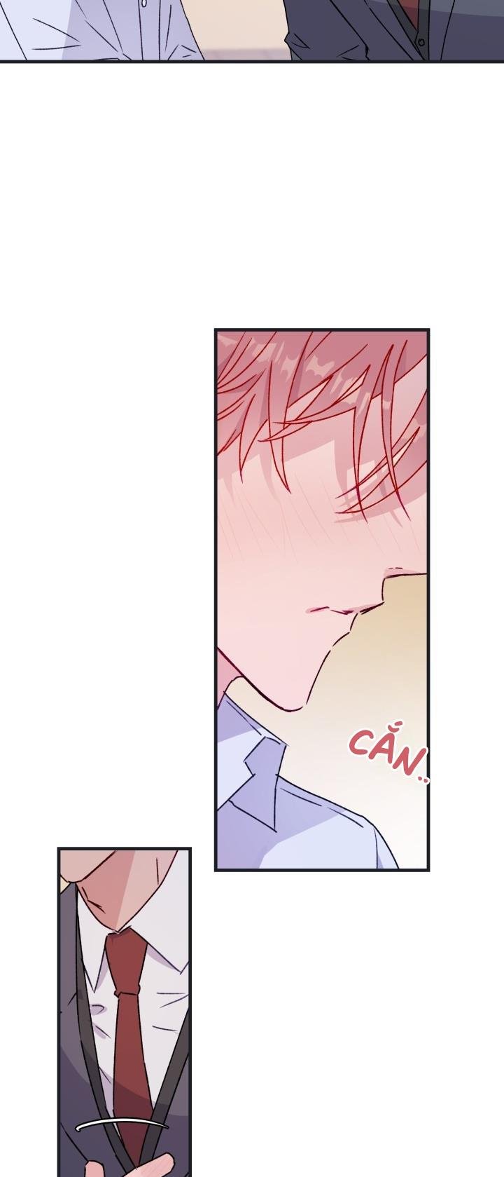 Cảnh Báo Bảo Mật Chapter 10 - Trang 2