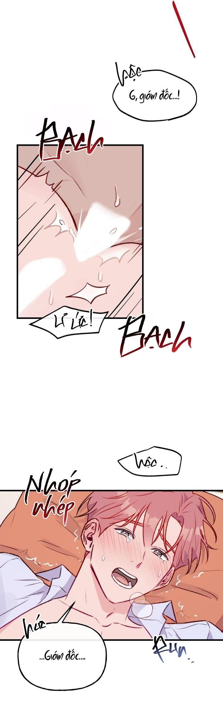 Cảnh Báo Bảo Mật Chapter 12 - Trang 2
