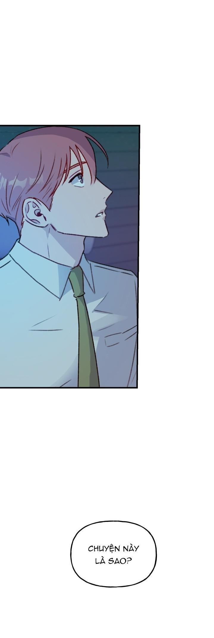 Cảnh Báo Bảo Mật Chapter 14 - Trang 2