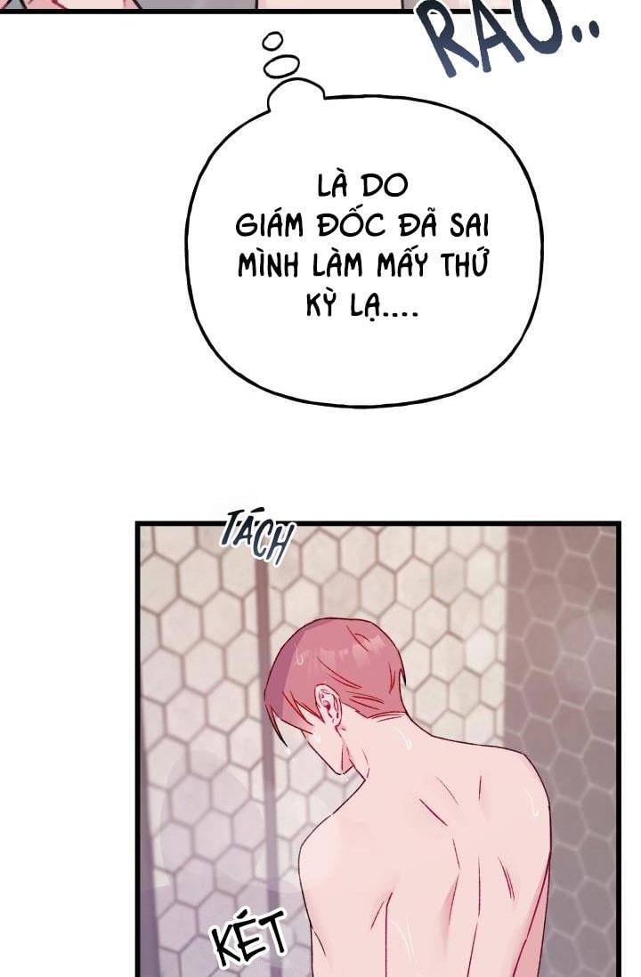 Cảnh Báo Bảo Mật Chapter 8 - Trang 2