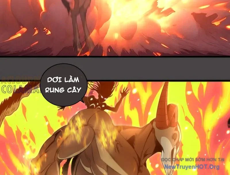 Cao Đẳng Linh Hồn Chapter 342 - Trang 2