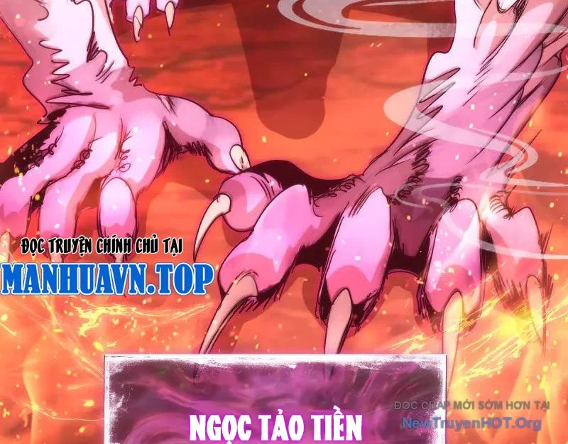 Cao Đẳng Linh Hồn Chapter 342 - Trang 2
