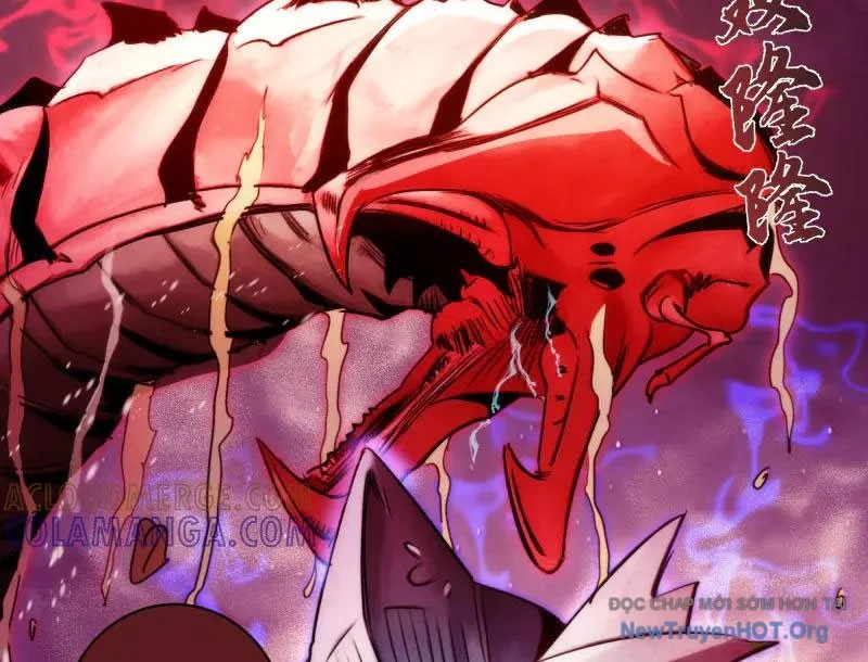 Cao Đẳng Linh Hồn Chapter 343 - Trang 3