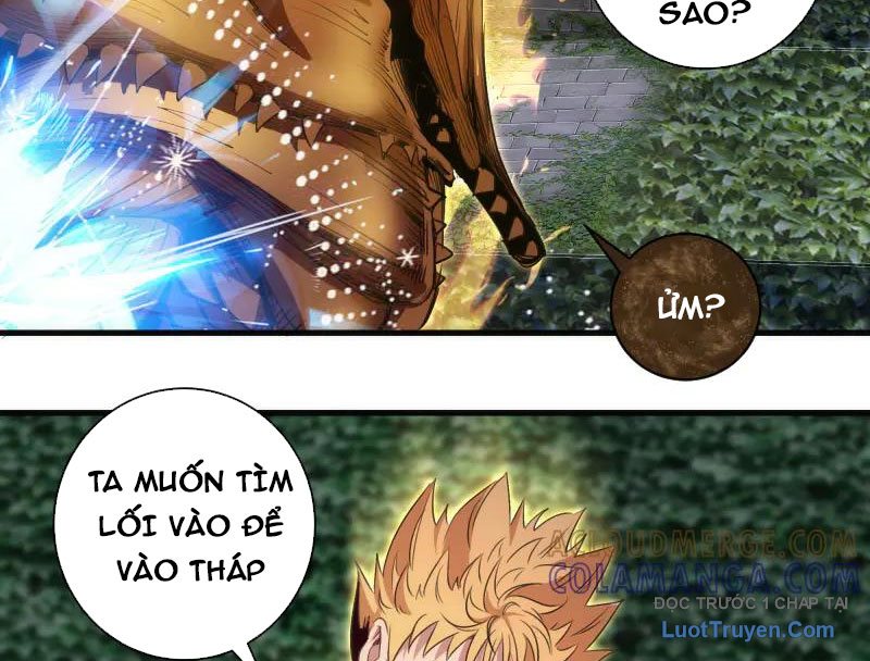 Cao Đẳng Linh Hồn Chapter 349 - Trang 2