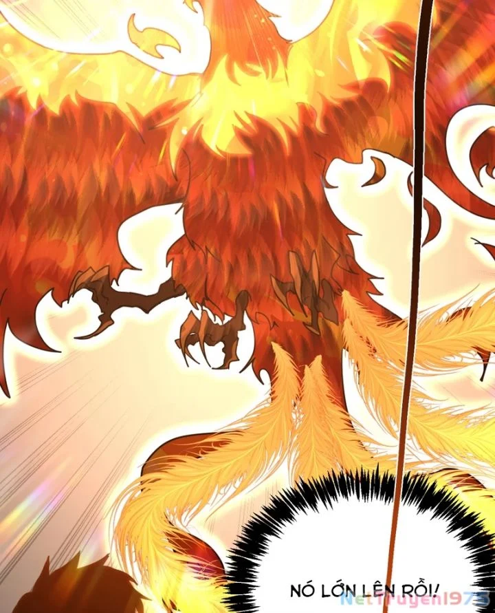 Cao Võ: Hạ Cánh Đến Một Vạn Năm Sau Chapter 218 - Trang 2