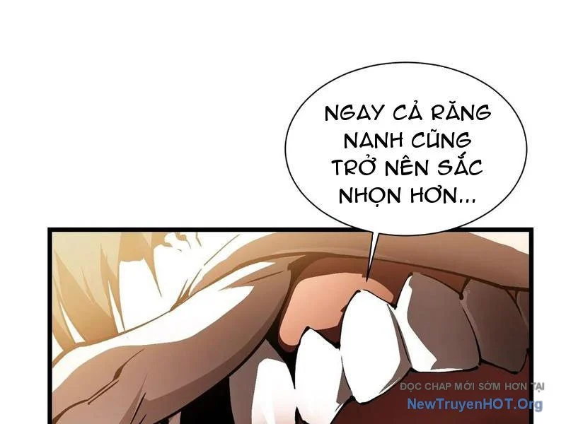 Cao Võ Tiến Hóa: Bắt Đầu Thức Tỉnh Quái Thú Chi Vương Chapter 42 - Trang 2