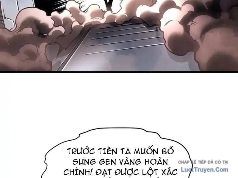 Cao Võ Tiến Hóa: Bắt Đầu Thức Tỉnh Quái Thú Chi Vương Chapter 78 61
