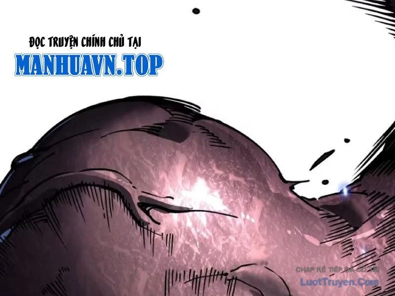 Cao Võ Tiến Hóa: Bắt Đầu Thức Tỉnh Quái Thú Chi Vương Chapter 83 - Trang 2