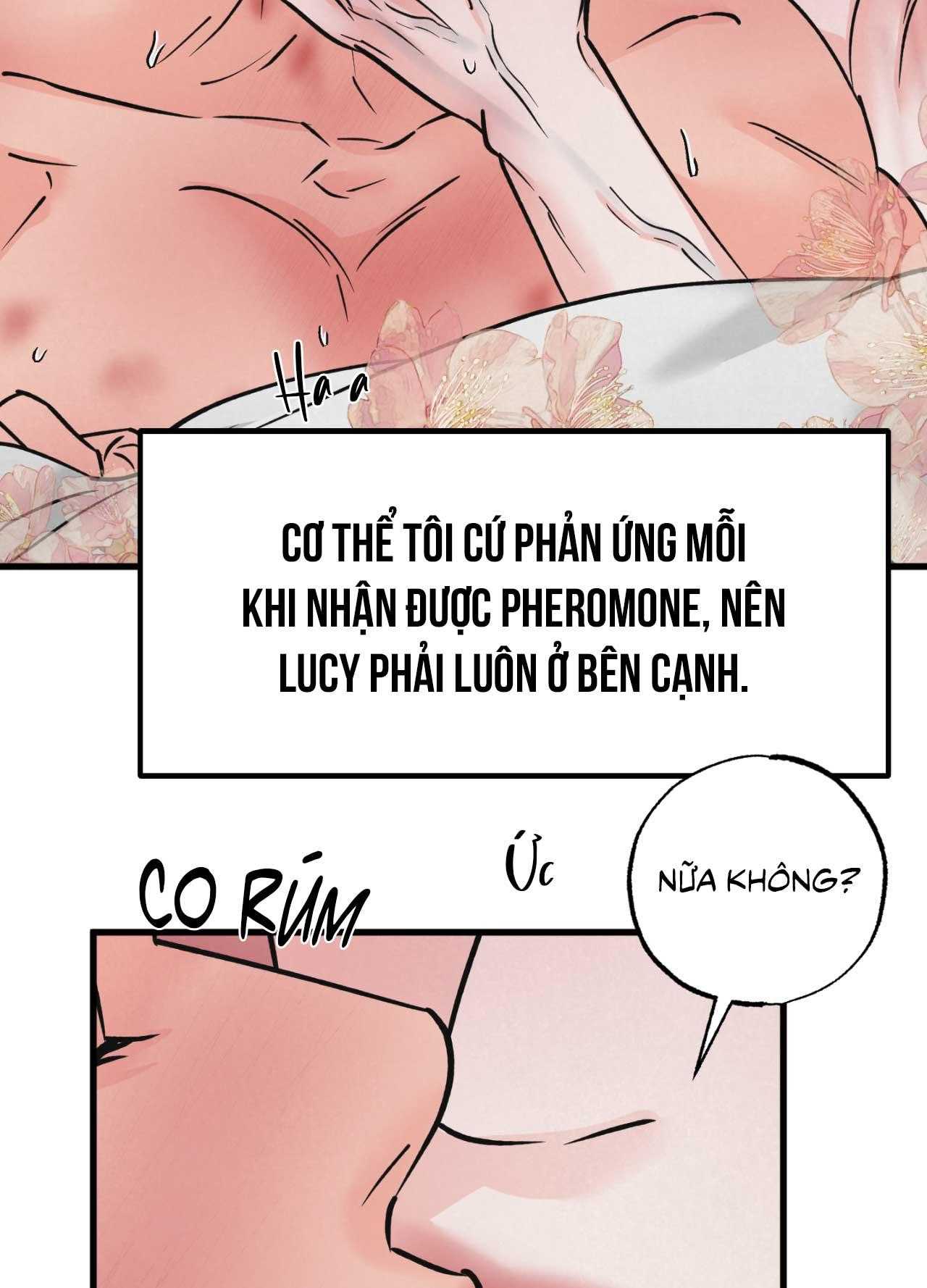 Cặp Đôi Hoàn Hảo Chapter 48 - Trang 3