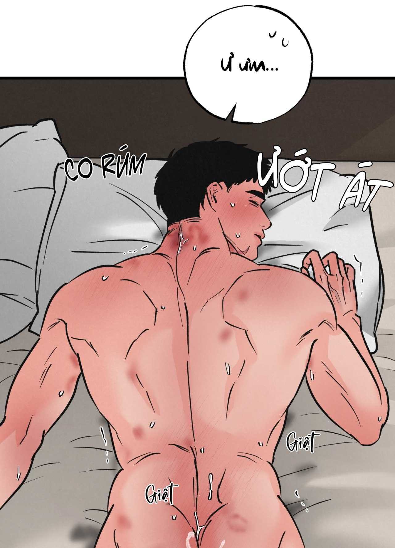 Cặp Đôi Hoàn Hảo Chapter 48 - Trang 3