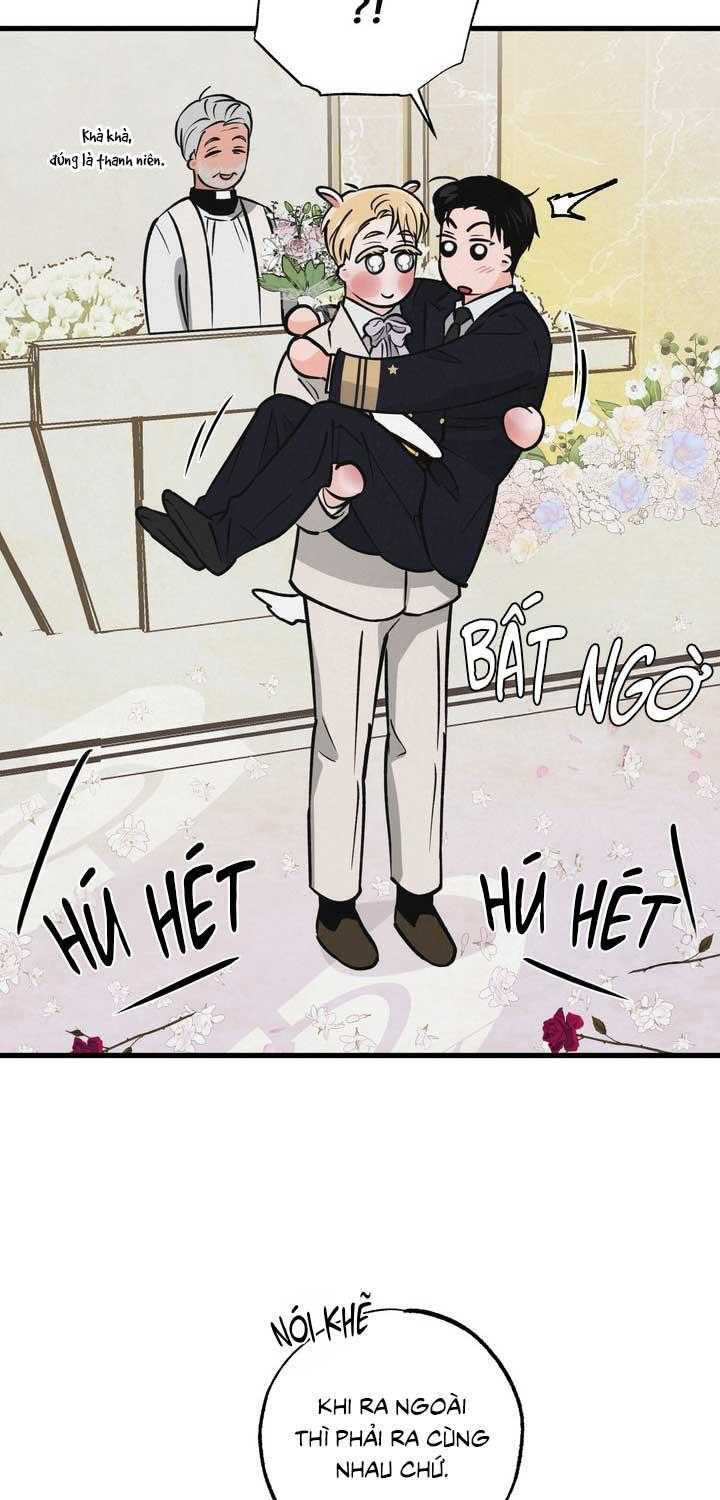 Cặp Đôi Hoàn Hảo Chapter 50 - Trang 2
