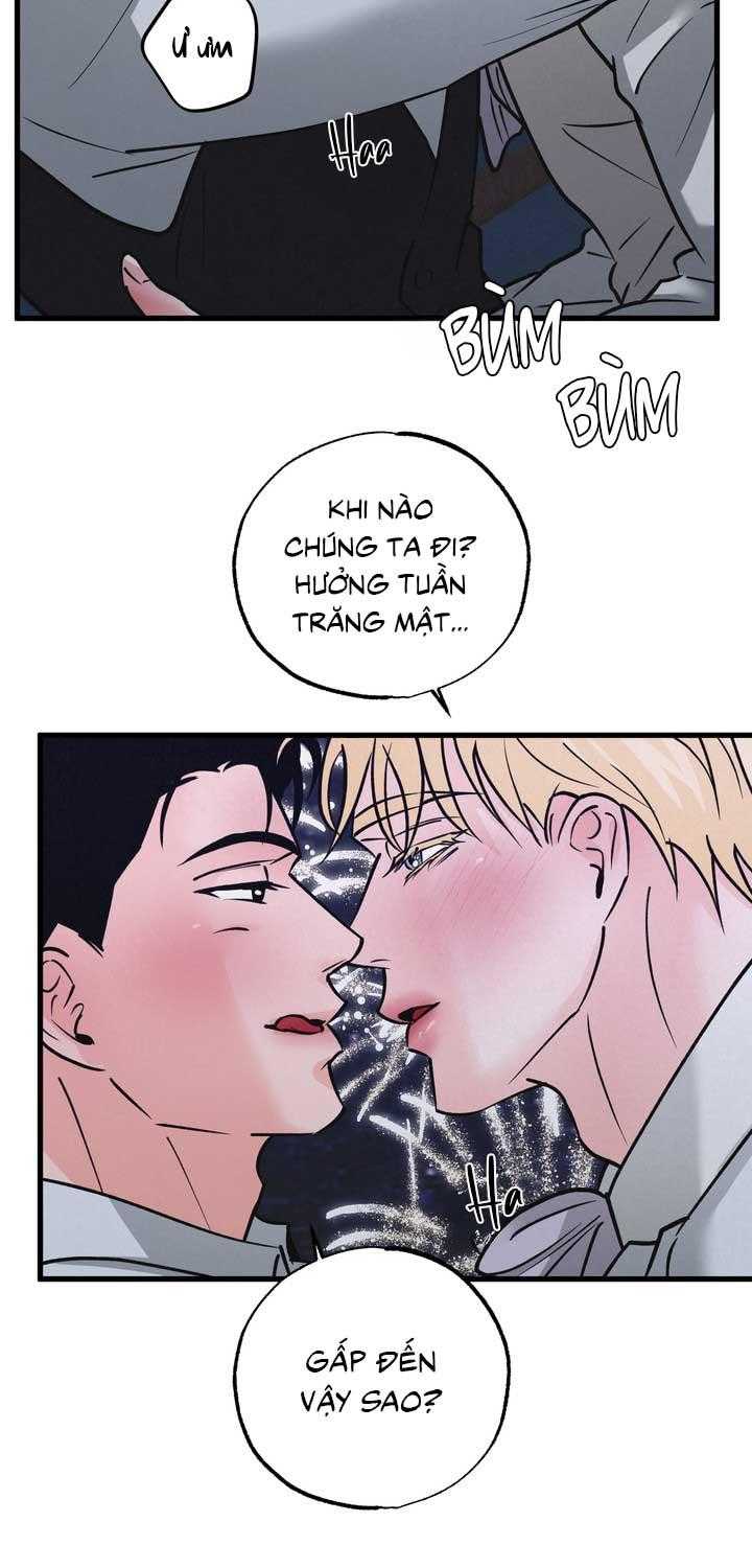 Cặp Đôi Hoàn Hảo Chapter 50 - Trang 2