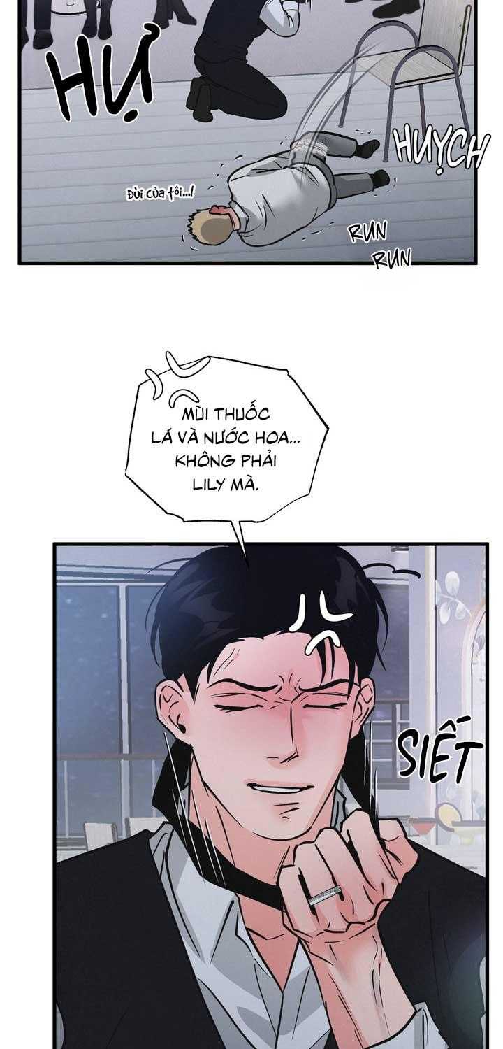Cặp Đôi Hoàn Hảo Chapter 50 - Trang 2