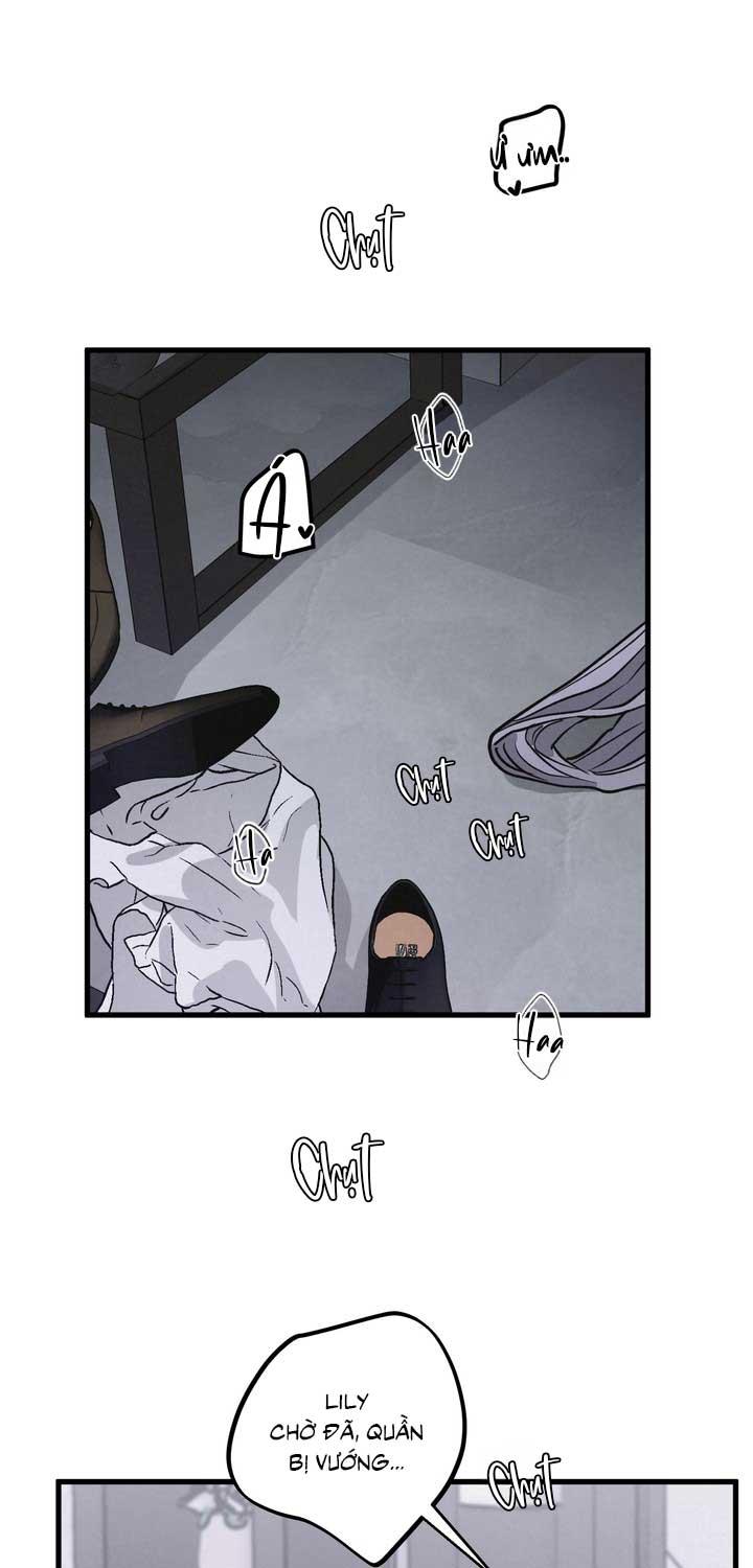 Cặp Đôi Hoàn Hảo Chapter 51 - Trang 2