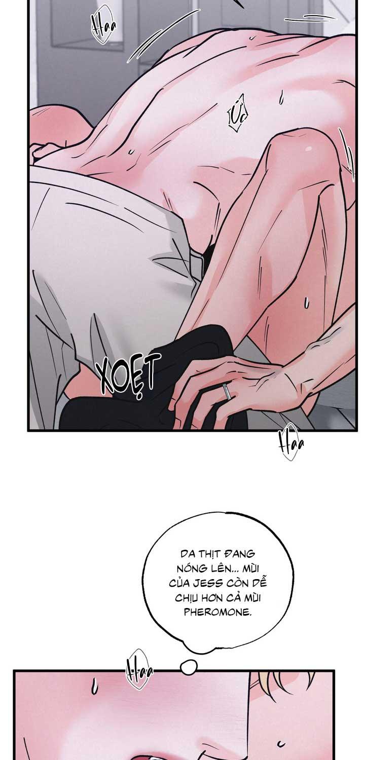Cặp Đôi Hoàn Hảo Chapter 51 - Trang 2