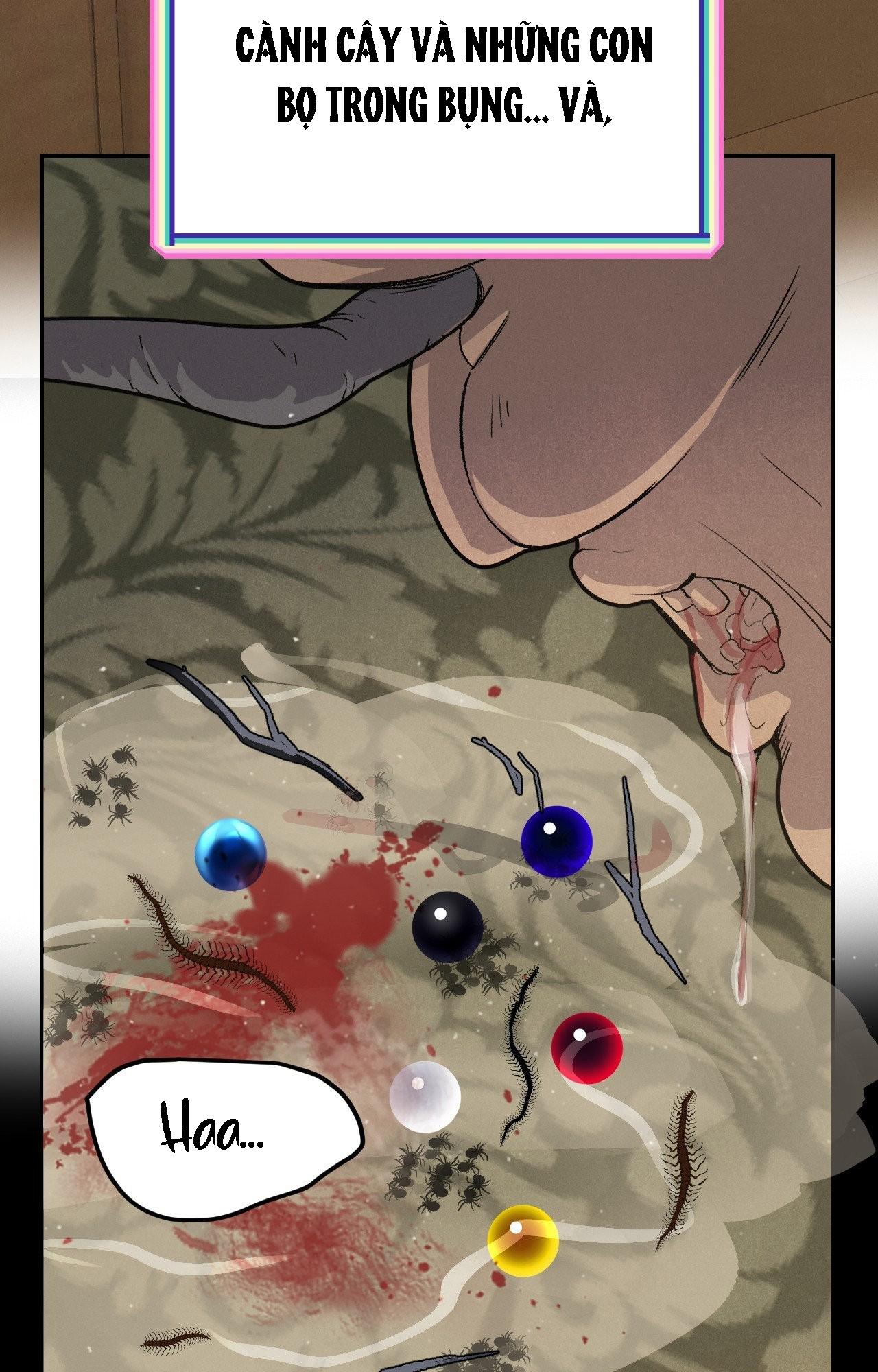 CẬU BÉ ĐÀO Chapter 41 - Trang 3