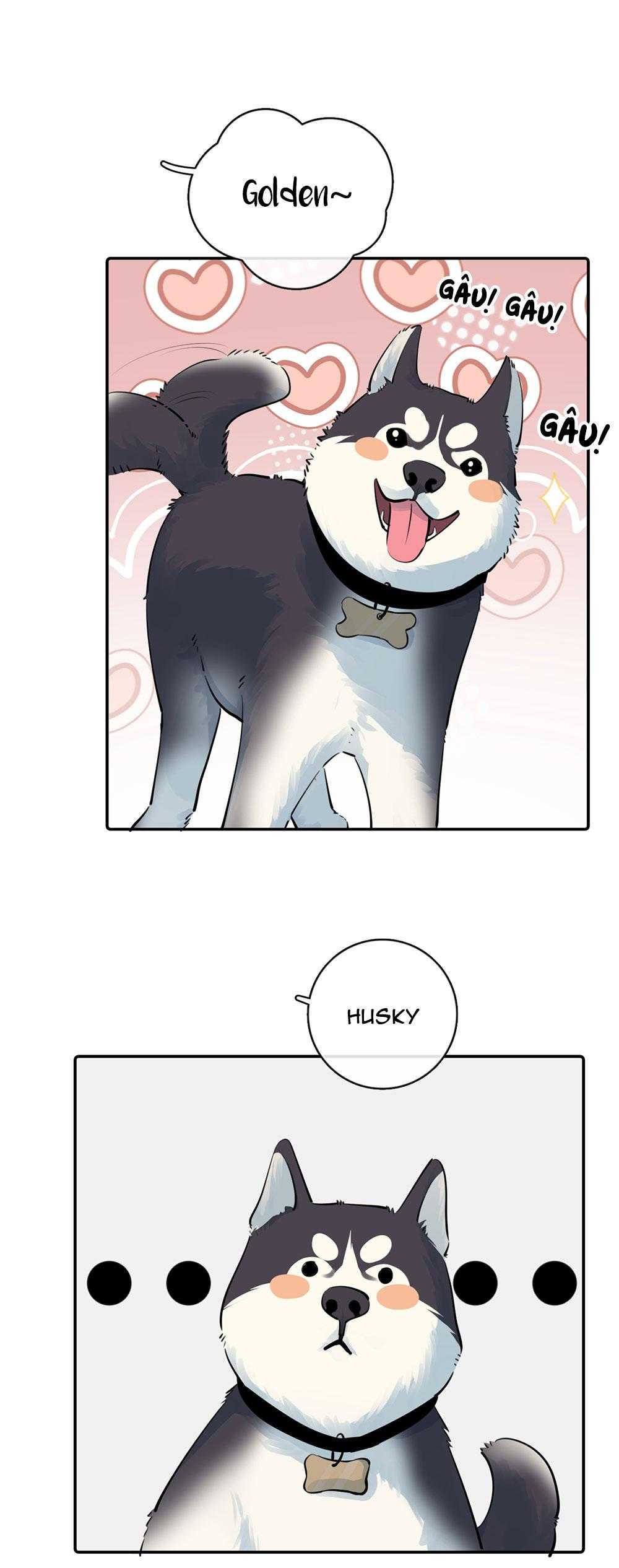 Cậu Vượt Giới Hạn Rồi Chapter 64.1 - Next 