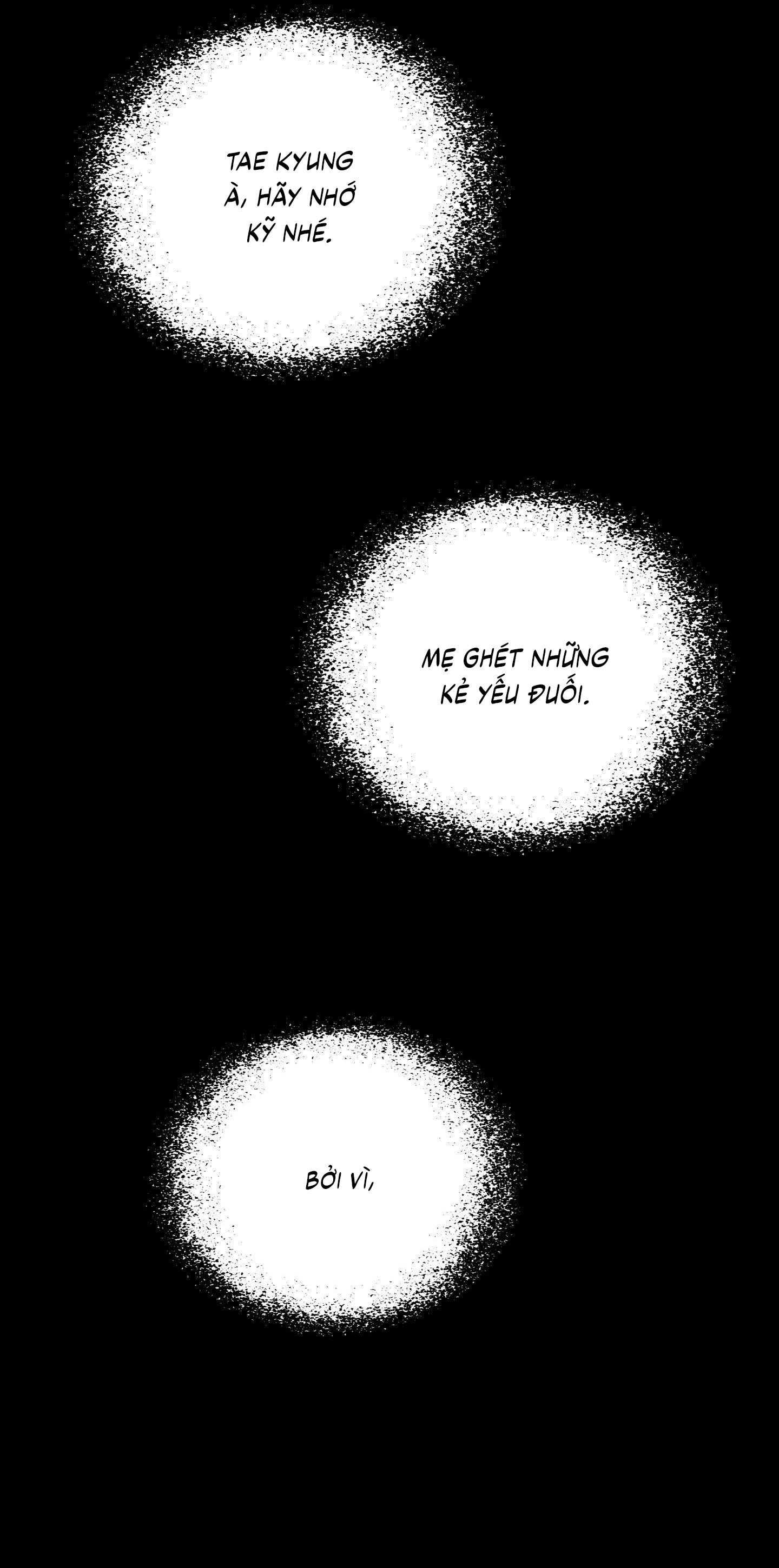 Cây Không Có Rễ Chapter 97 - Next 